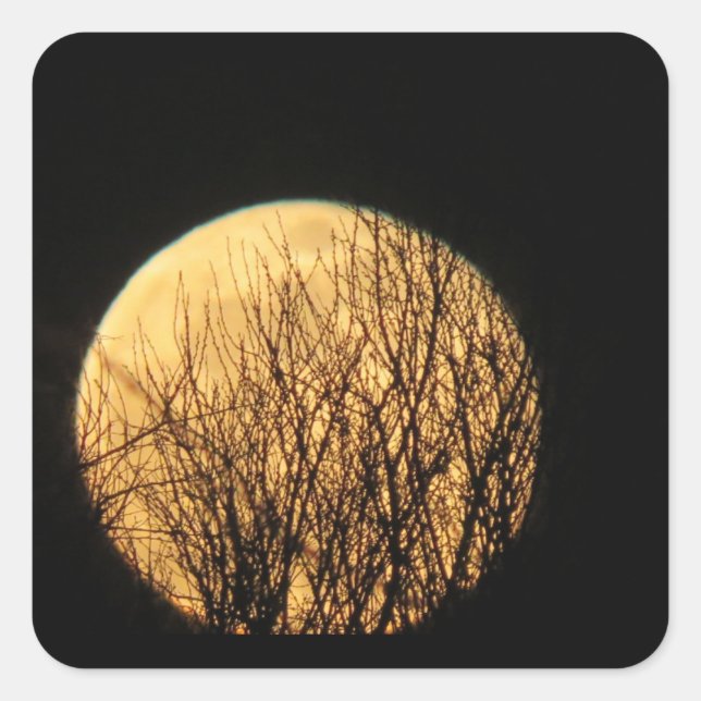 Tree Branches in front of Spooky Halloween Moon Square Sticker (Front)
