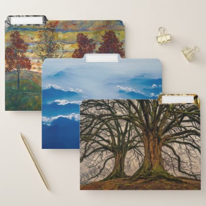 Tree Branches Nature Office Destiny&#39;s Destiny File Folder