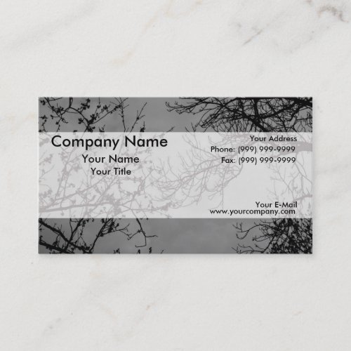 Tree branches on a dark sky. business card