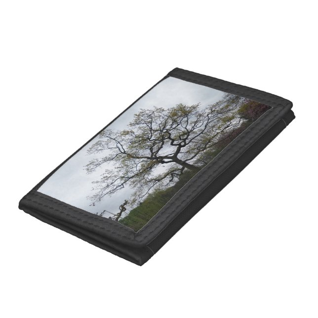 Tree Branches  Photo Wallet (Bottom)