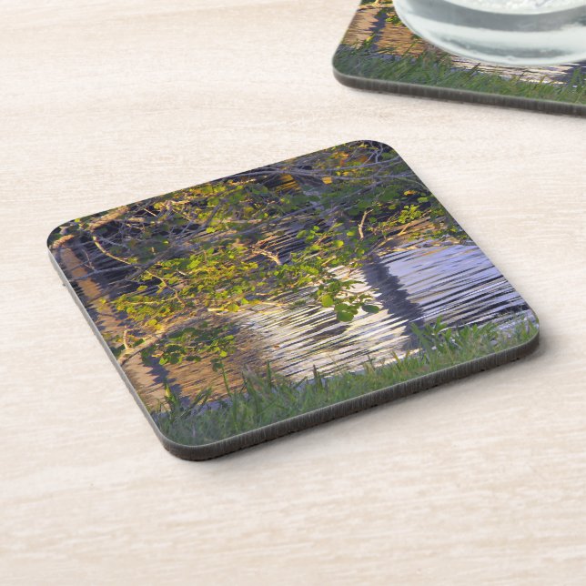 Tree Branches, Sunlight, Reflection Drink Coaster (Left Side)