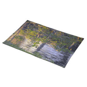 Tree Branches, Sunlight, Reflection Placemat