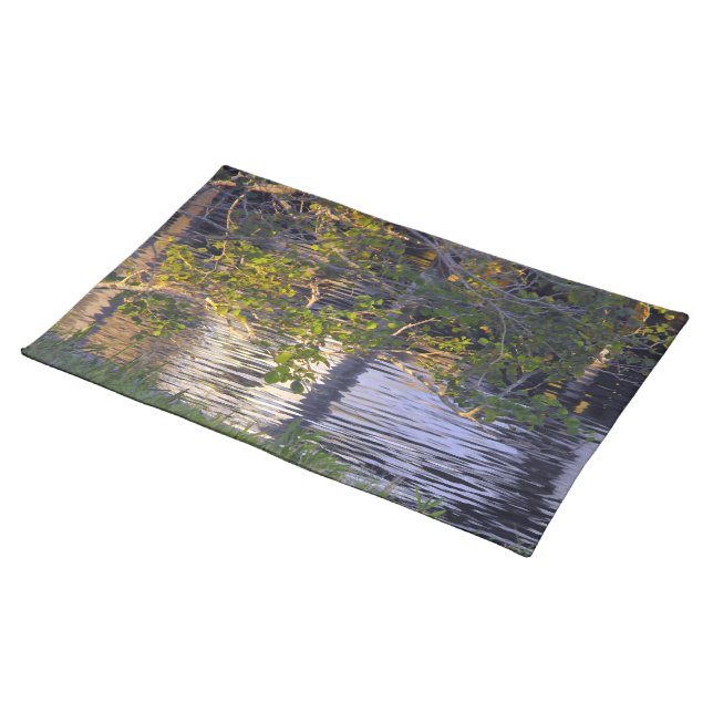 Tree Branches, Sunlight, Reflection Placemat (On Table)