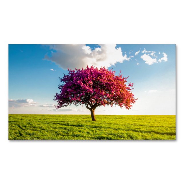 tree business card magnet (Front)
