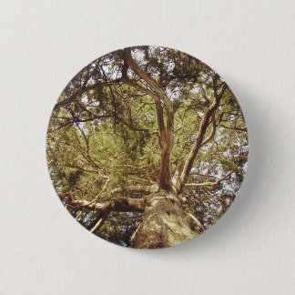 Tree Button