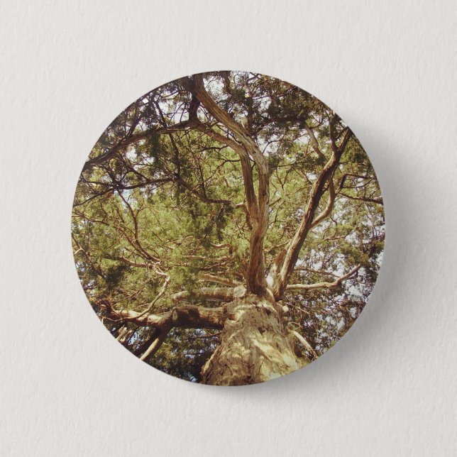 Tree Button (Front)