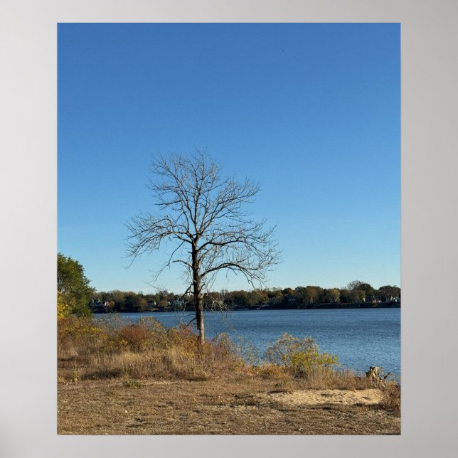 Tree by the River Poster (Front)