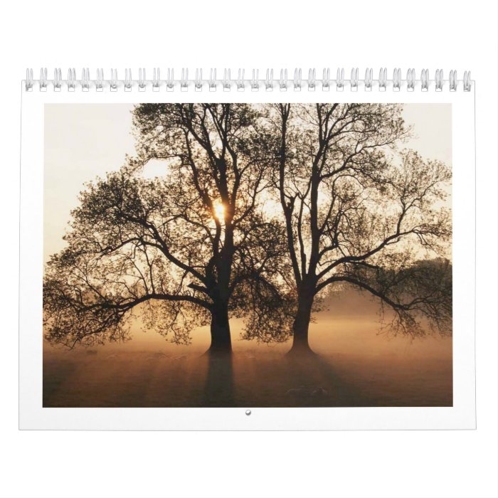 Tree Calendars