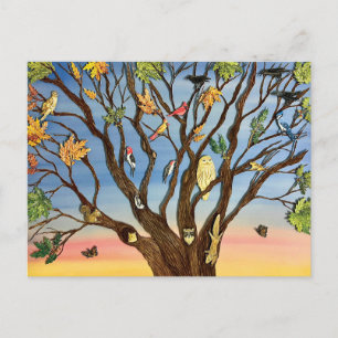 Tree Canopy Postcard