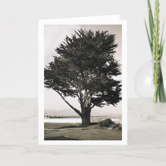 Tree Card