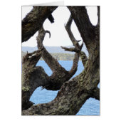 Tree Cards (Front)