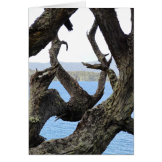 Tree Cards