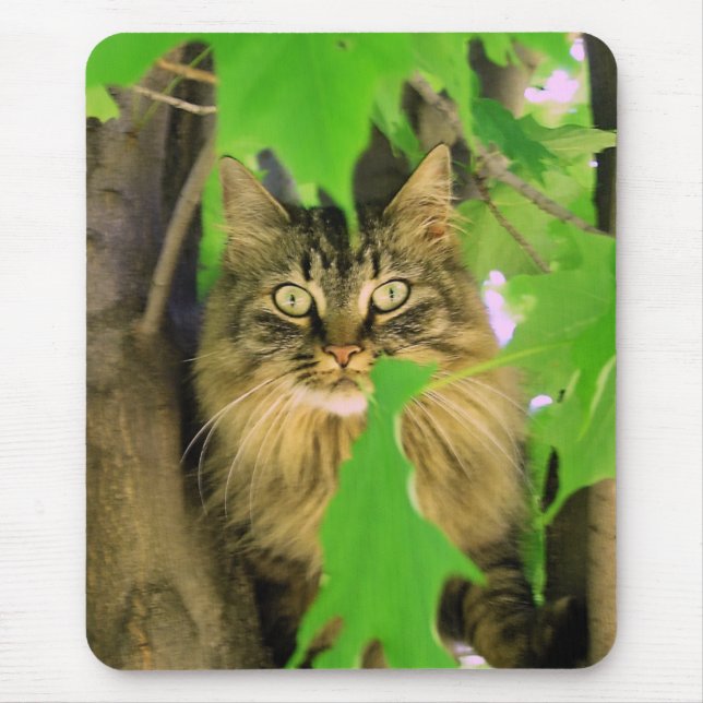 Tree Cat Mousepad (Front)