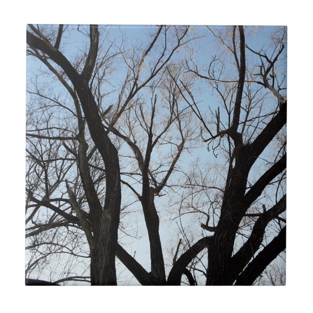 Tree Ceramic Tile (Front)