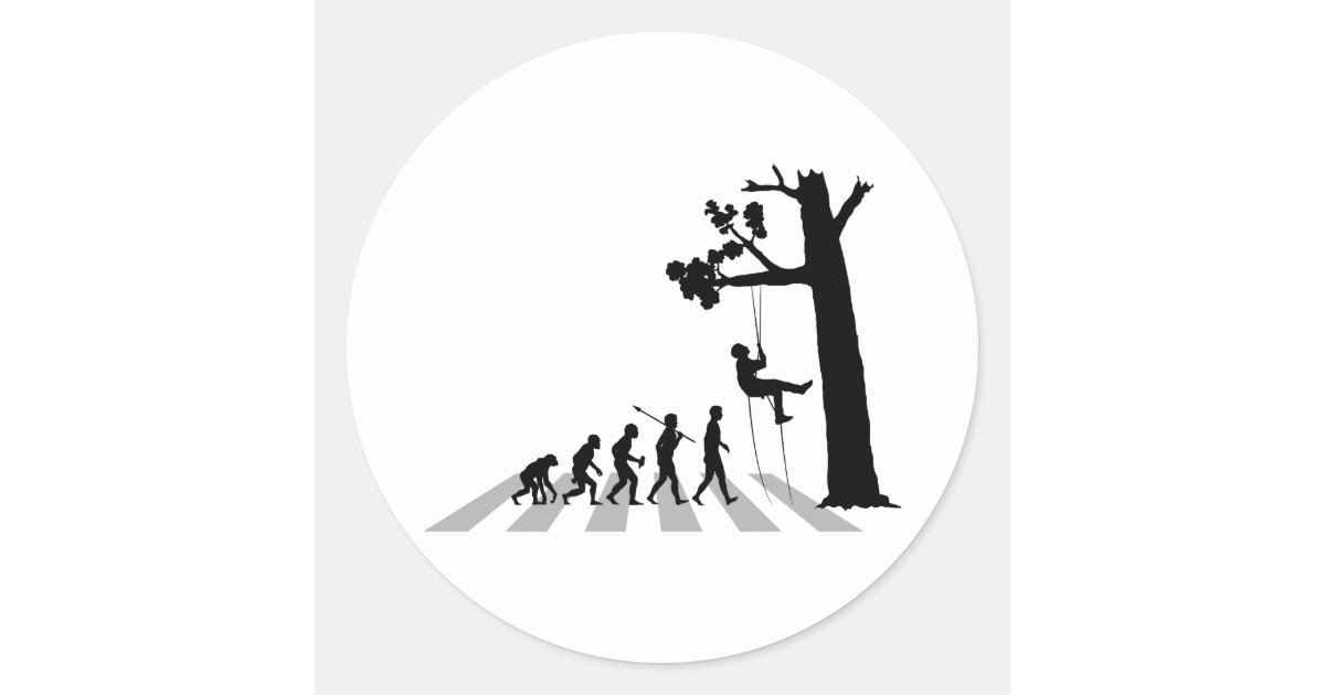 Tree Climbing Classic Round Sticker | Zazzle