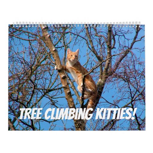 Tree Climbing Kitties Cat  Kittens in Trees 2021 Calendar