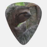 Tree Climbing Sloth Guitar Pick
