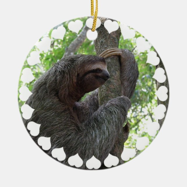 Tree Climbing Sloth Ornament (Front)