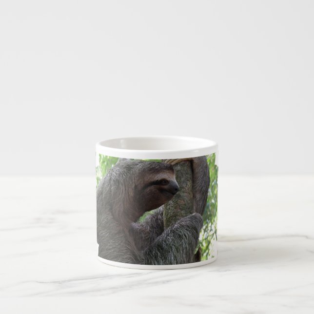 Tree Climbing Sloth Specialty Mug (Front)