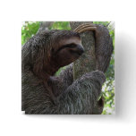 Tree Climbing Sloth Square Pin