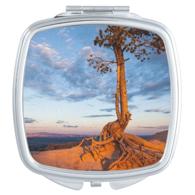 Tree Clings to Ledge, Bryce Canyon National Park Compact Mirror (Front)