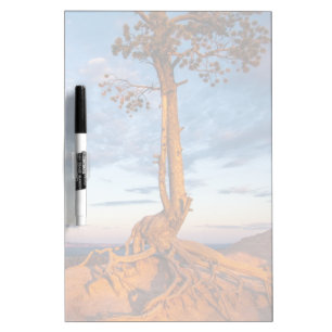 Tree Clings to Ledge, Bryce Canyon National Park Dry Erase Board