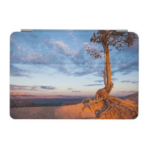 Tree Clings to Ledge Bryce Canyon National Park iPad Mini Cover
