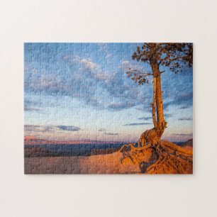 Tree Clings to Ledge, Bryce Canyon National Park Jigsaw Puzzle