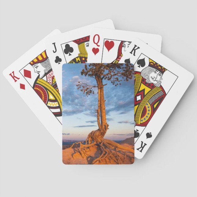 Tree Clings to Ledge, Bryce Canyon National Park Poker Cards (Back)