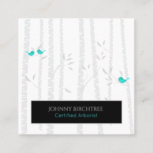  Tree Doctor Blue Birds Birch Trees Arborist Square Business Card