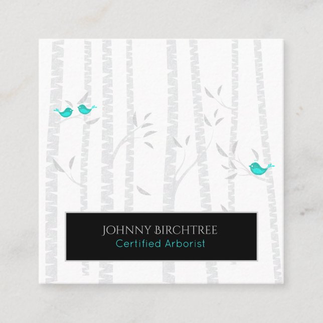 *~* Tree Doctor Blue Birds Birch Trees Arborist Square Business Card (Front)