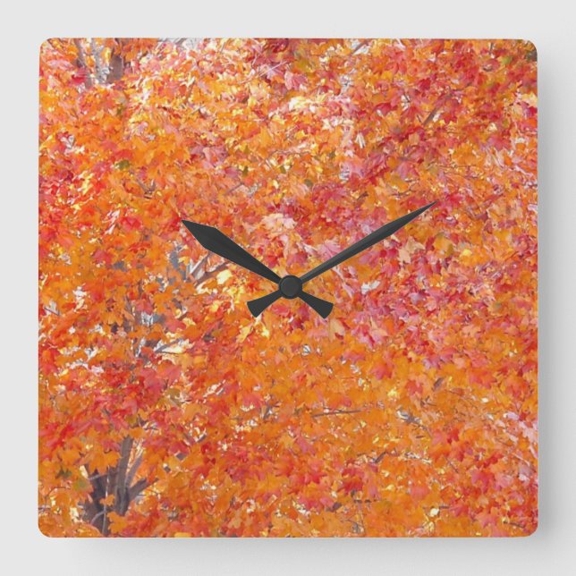 Tree Fall Colours Wall Clock (Front)