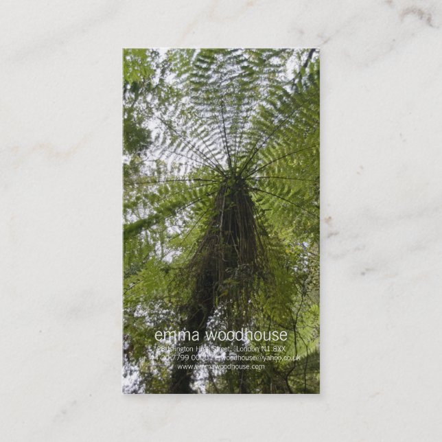 Tree Fern Business Card (Front)