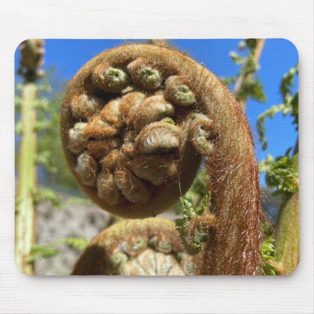 Tree Fern Frond   Mouse Pad (Front)