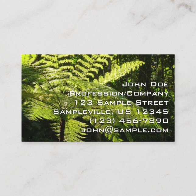 Tree Fern in the Rainforest Business Card (Front)