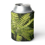 Tree Fern in the Rainforest Can Cooler