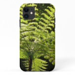Tree Fern in the Rainforest iPhone 11 Case