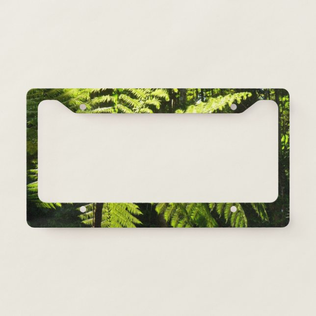 Tree Fern in the Rainforest License Plate Frame (Front)