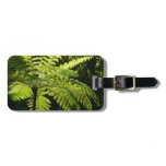 Tree Fern in the Rainforest Luggage Tag