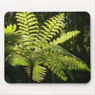Tree Fern in the Rainforest Mouse Pad