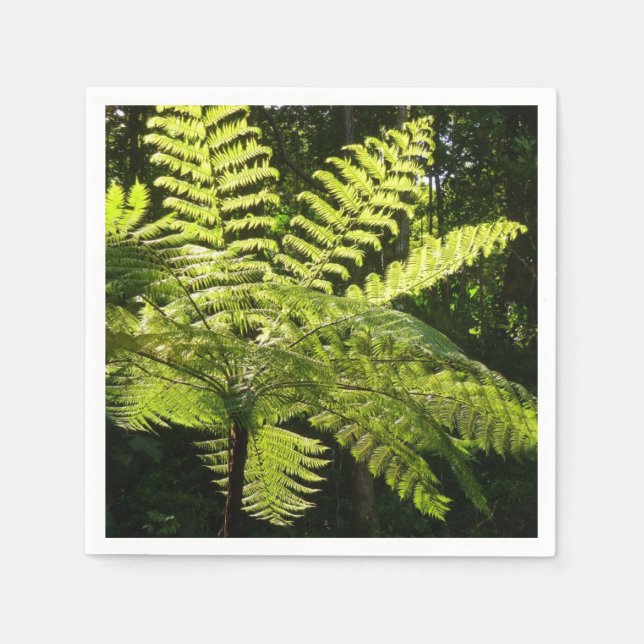 Tree Fern in the Rainforest Napkins (Front)