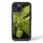 Tree Fern in the Rainforest iPhone 13 Case