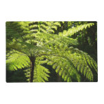 Tree Fern in the Rainforest Placemat