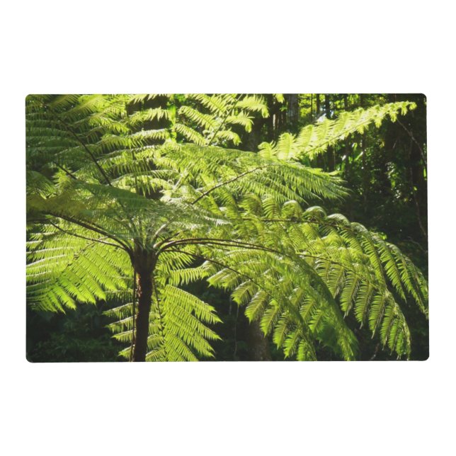 Tree Fern in the Rainforest Placemat (Front)