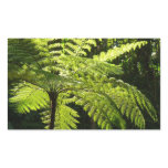 Tree Fern in the Rainforest Rectangular Sticker