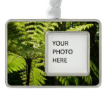 Tree Fern in the Rainforest Silver Plated Framed Ornament