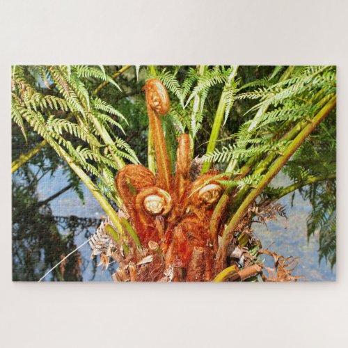 Tree fern new growth Dandenong Ranges Australia  Jigsaw Puzzle