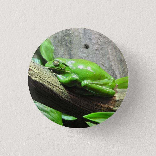 Tree Frog Badge Pinback Button