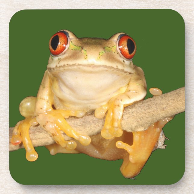 Tree Frog Beverage Coaster (Front)