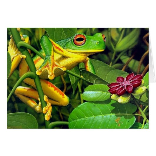 Tree Frog Cards (Front Horizontal)